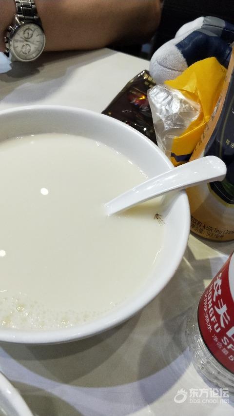凌晨4点永和喝豆浆,一只蚊子闯入,店家竟毫不理会