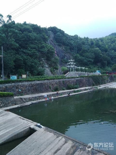 干净!看看鄞州某村,再对比脏乱差小区…