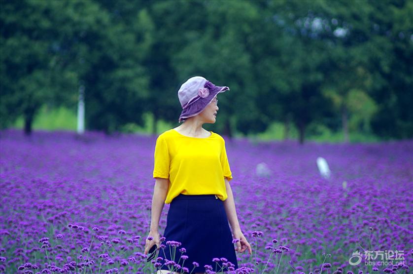 荪湖花海,500亩面积。一进花海,个个眉开眼笑