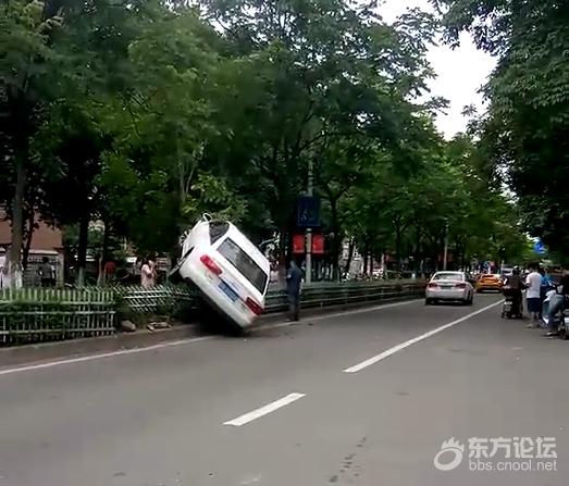 亲见浙B奥迪车上树,普通人办不到