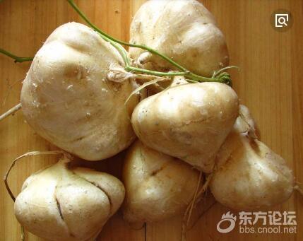 长见识!这玩意儿居然叫地瓜,完全和番薯两个概念