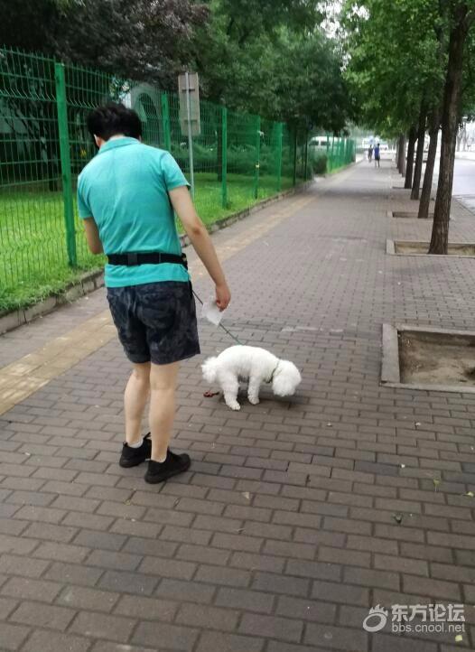 夸夸这位狗主人,大姐却说…