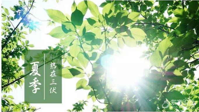 今天入伏!整整40天,宁波牌