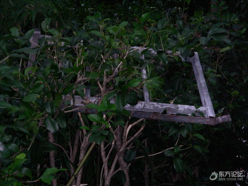 这太野蛮了!那么大铁栏杆与钢窗,直接从6楼往下砸…