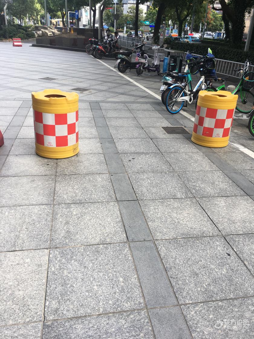 市中心地段居然成这些东西的温床!谁负责消灭他们