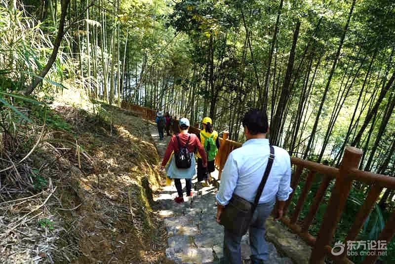 茅镬古树公园去赏秋,有一棵树年龄超过900岁,厉害