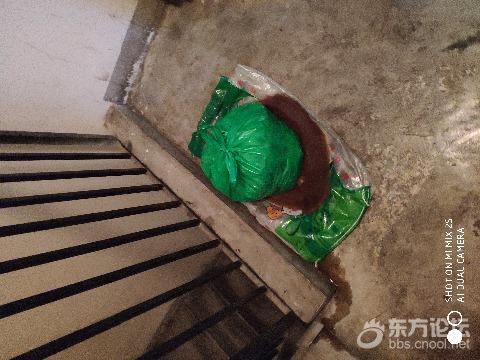 在居民楼里开食堂,四五十人吃饭,楼道恶臭,怎么办
