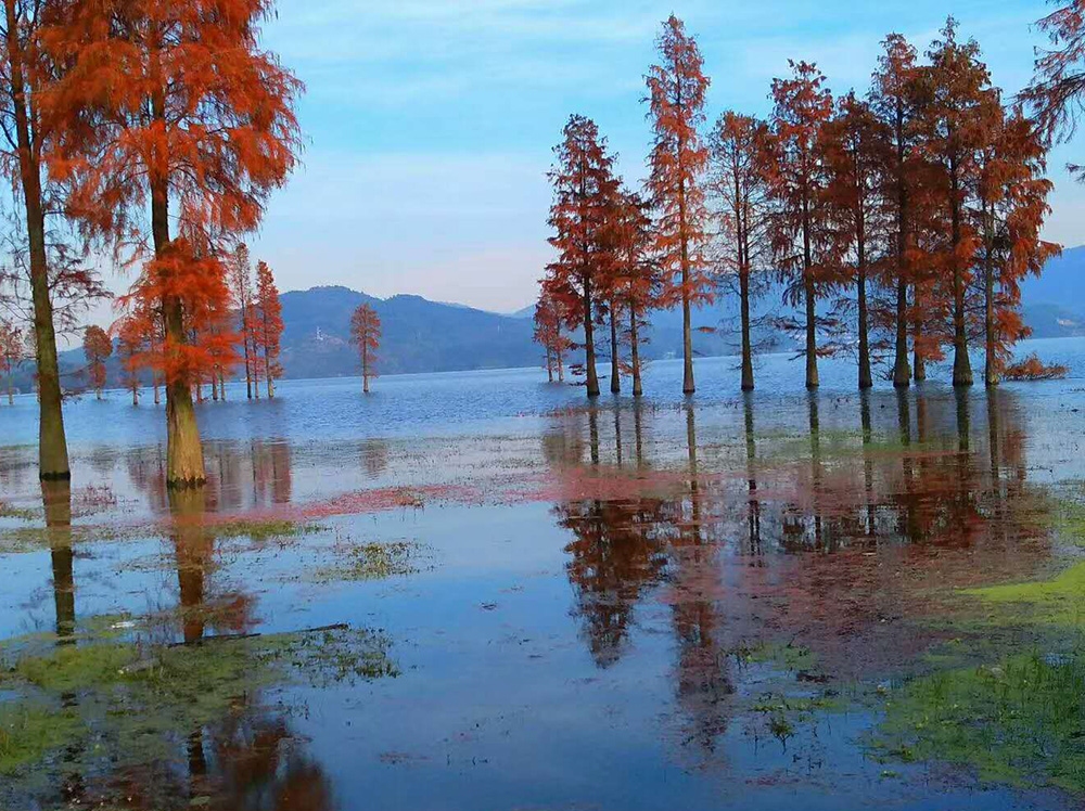 美如景区的32个水库,不堵不挤还免费,你去过几个?