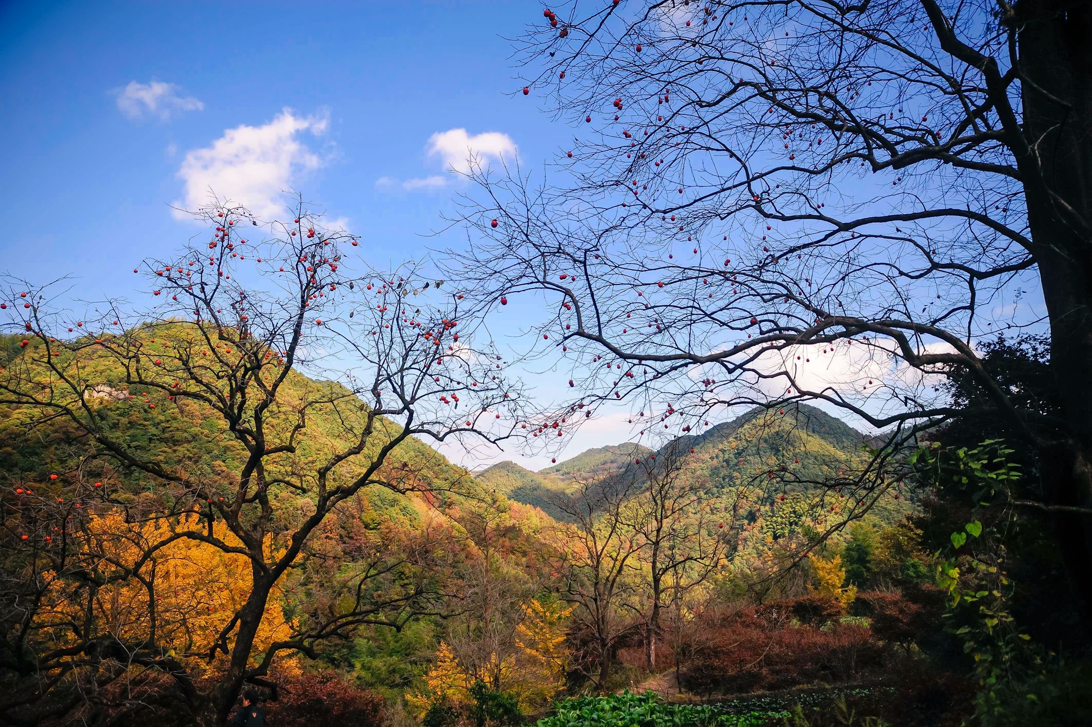 四明山美景图片