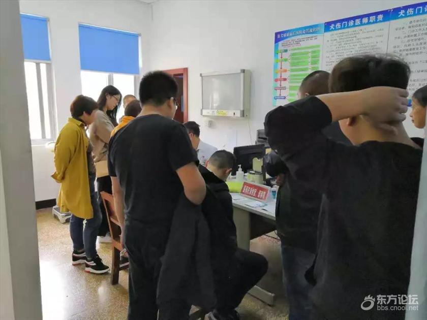流浪狗24小时咬伤76人!集中在3个区域,已有肇事犬被抓捕