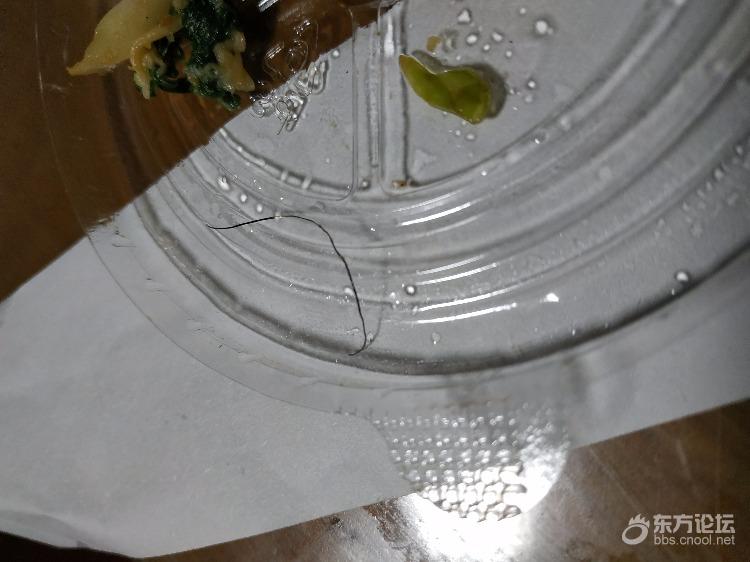 对餐馆失去信心,第三次吃出钢丝。这玩意能消化吗
