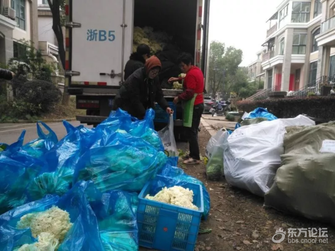 这两天,宁波这几个业主群都在大量的团购花菜,就因为手机里的一条信息