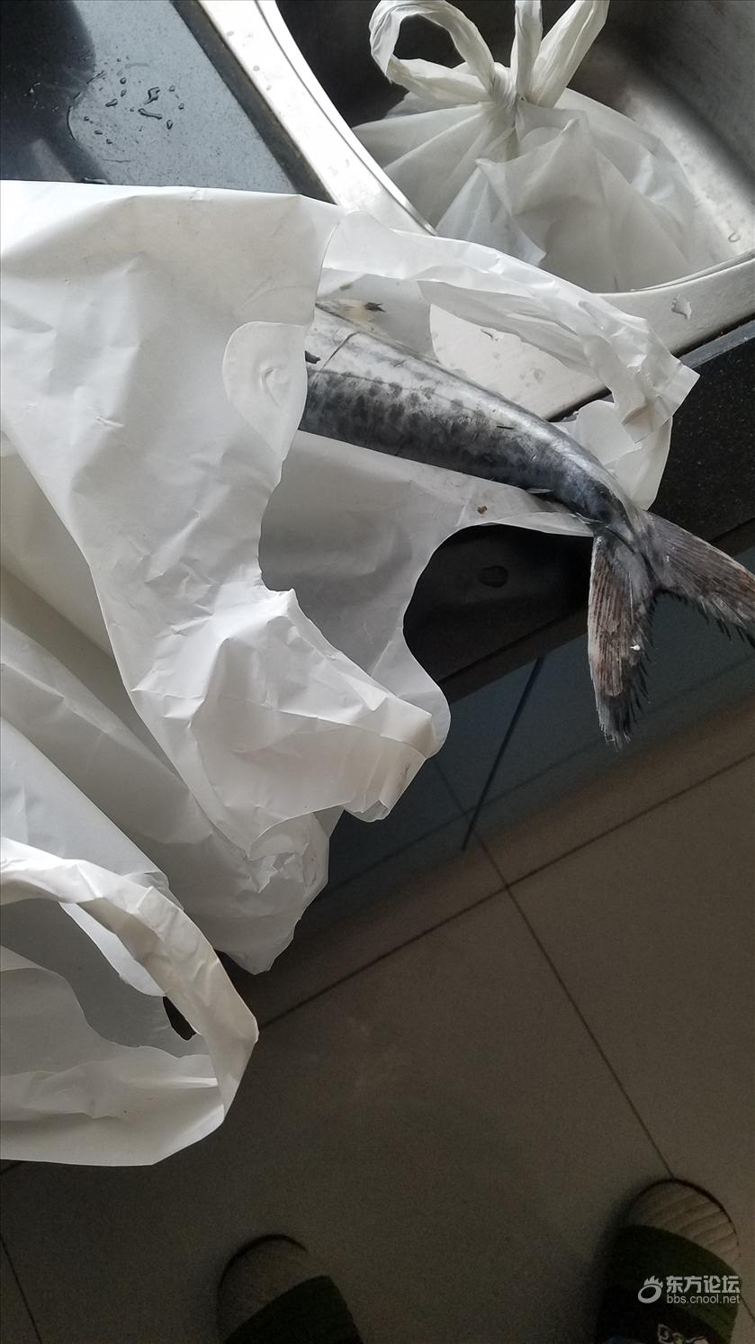 宁波人卖海鲜为什么都喜欢用这种塑料袋,又臭又厚