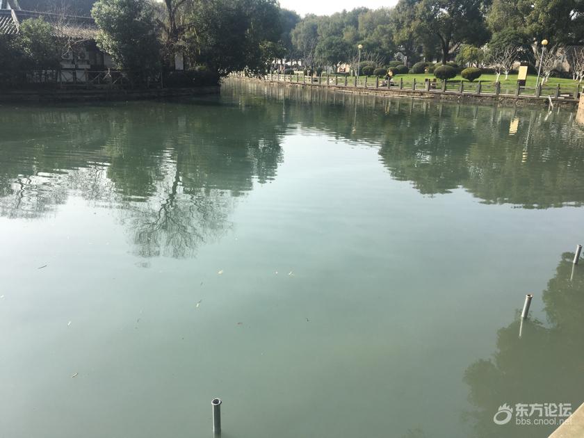 去年刚彻底清淤,5A月湖的湖水咋就变这样?快来看