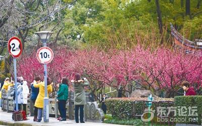 阳光没盼来,雨水已摸黑上线!宁波今明阴雨,一直下到周五