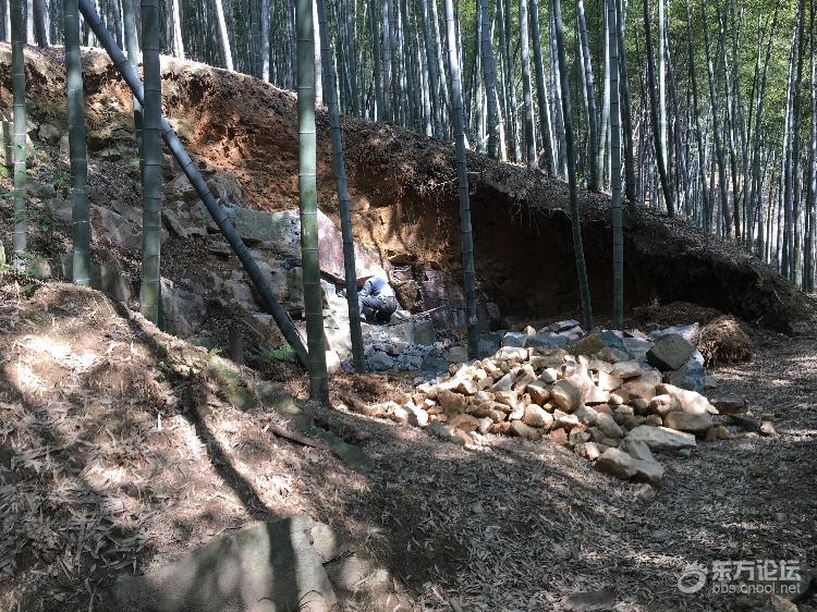 青山绿水间到处在修活死人墓!里面没小龙女别折腾