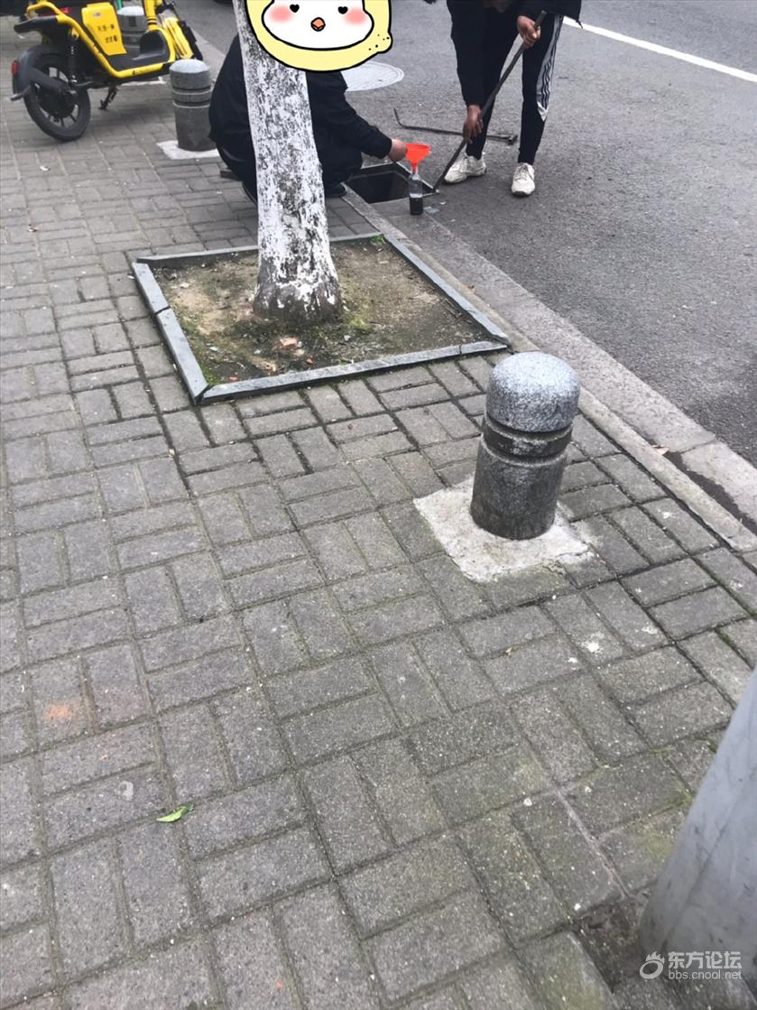 宁波街头一幕,两人相互配合往下水道捞…,啥操作?