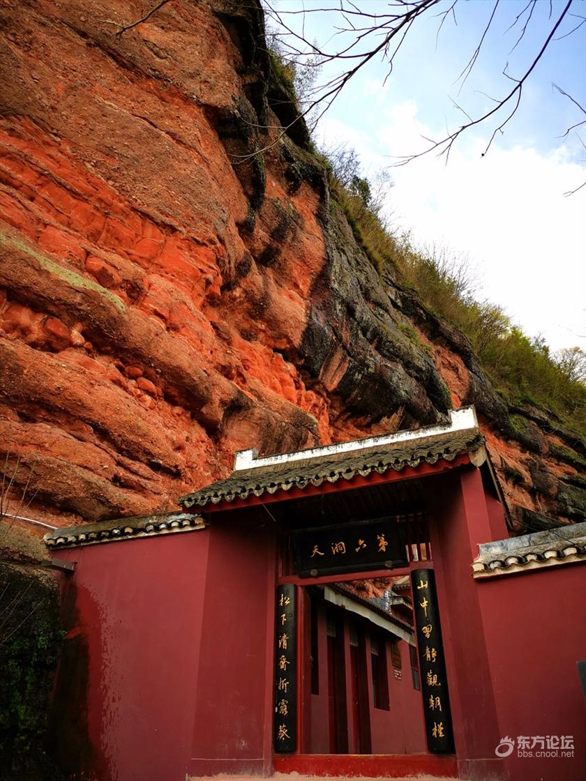 赤城山上紫荆花开