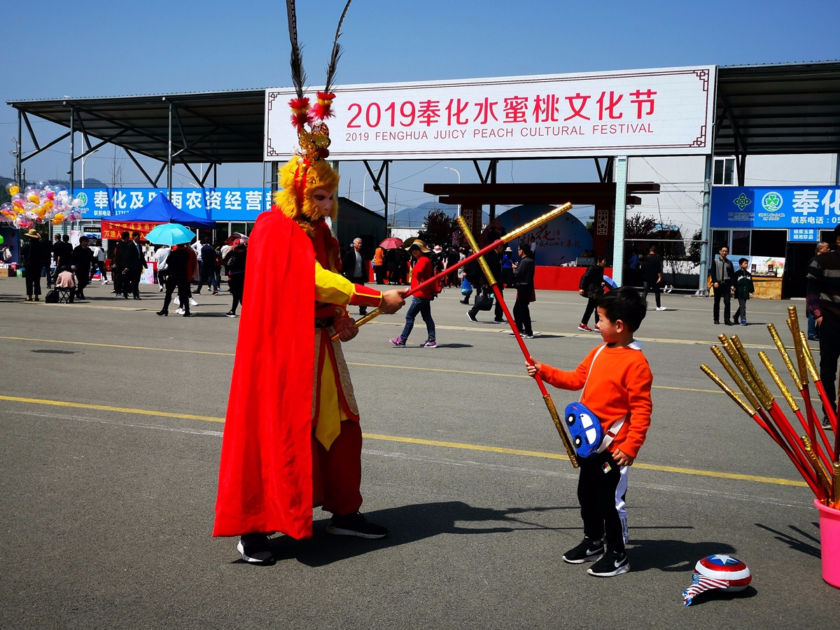 奉化 箫王庙 林家村 天下第一桃园 赏花