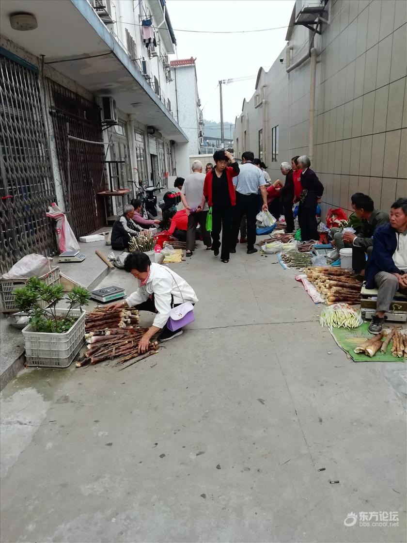 横溪菜场秩序太乱了,每天不到5点一片嘈杂