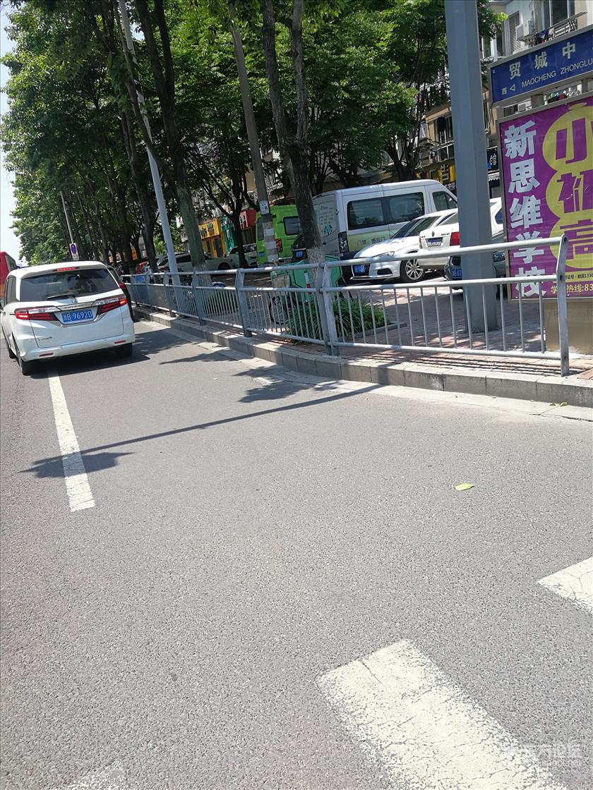 大喇喇停班马线附近,不顾别人狂按喇叭,玩手机!