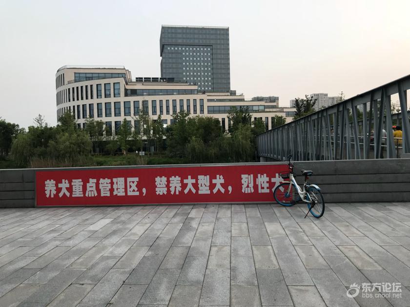 在宁波市图书馆附近遛狗的朋友,请一定栓狗绳啊!