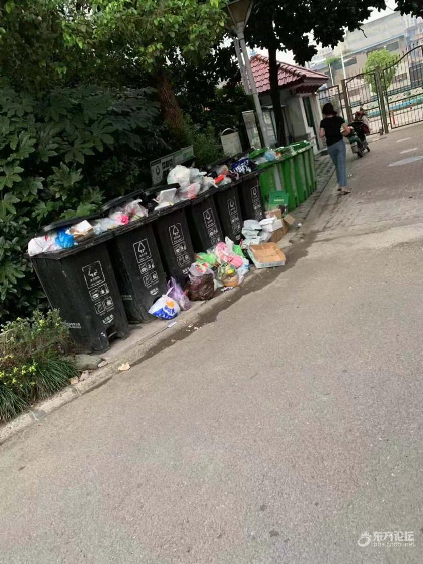 小区垃圾桶撤桶并点,结果老鼠成灾!