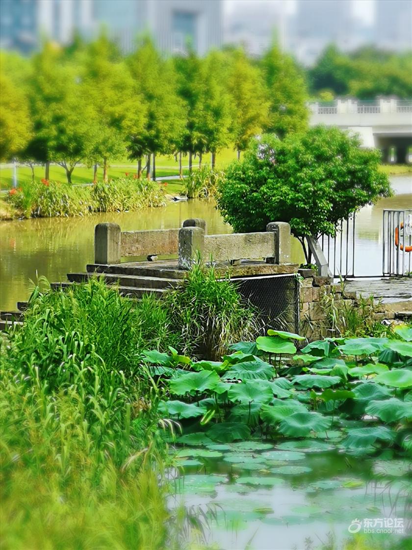 这座小石桥 成为鄞州新城的一景