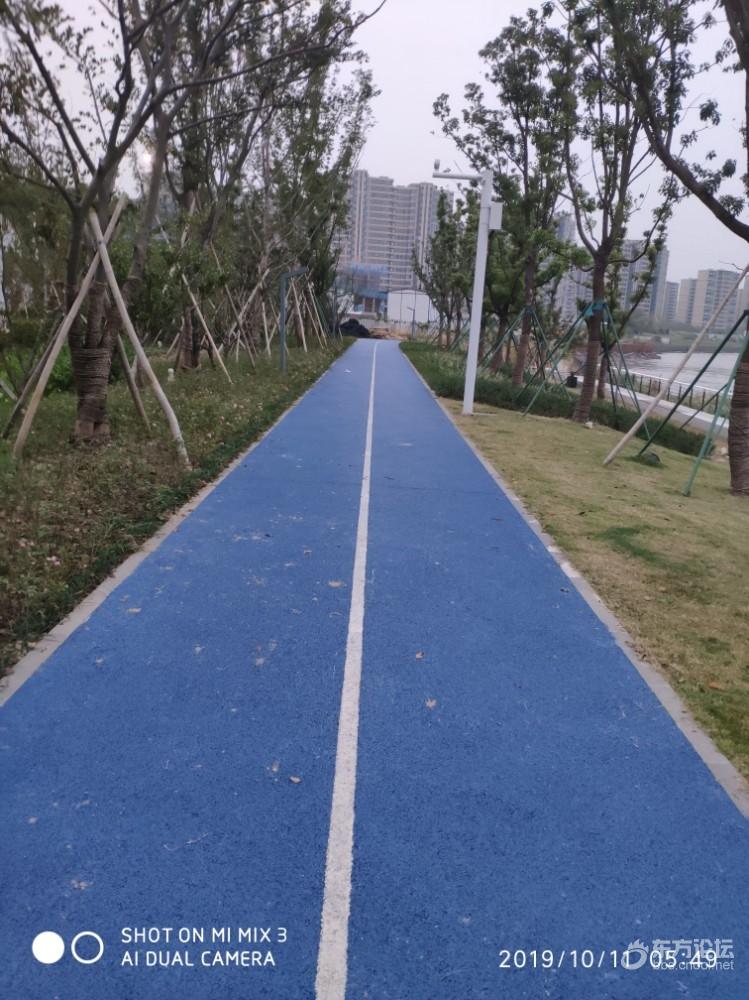 这里有个生态园,早上人很少适合晨练,环境也很不错