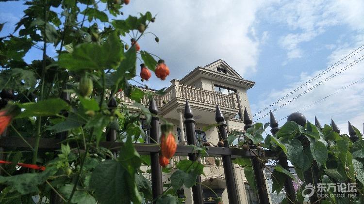 游了两个山村,又干净又美丽,新农村的气息