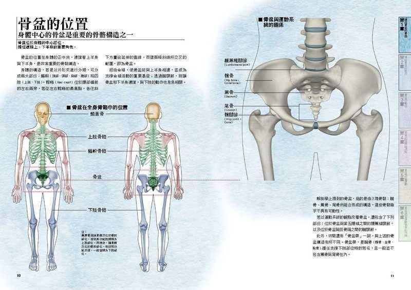 骨盆的过 却要腰椎来背 东论东方热线 东方论坛 宁波论坛 家长里短写你我身边事