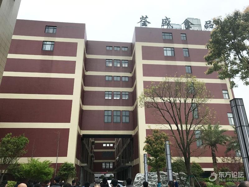 看到品牌粽子生产全过程,条件苛刻!自己包不敢想