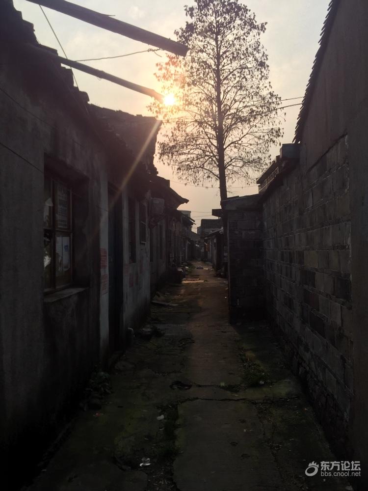 爸妈要离开生活几十年的村子,搬家时做点记录,不舍