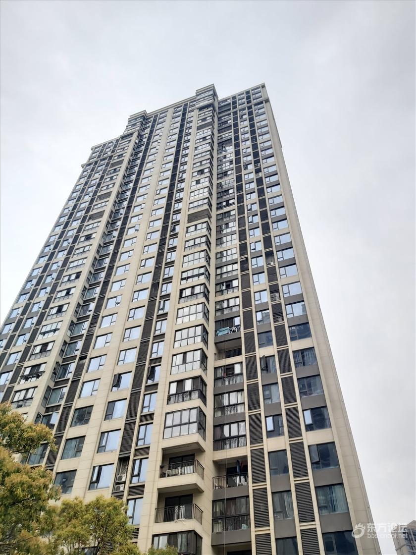 登上百米高空看风景,汽车犹如甲壳虫,公路好比丝带