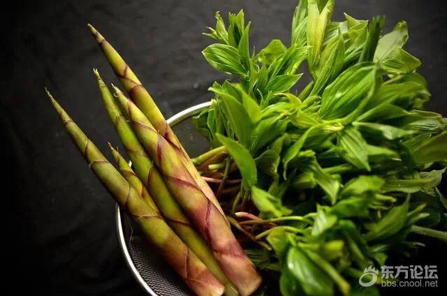 惊蛰后清明前,是吃宁波这道有名素食的最好时节!