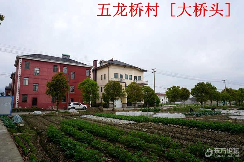 鄞州这座古桥堪称一绝,上面的浮雕包含好几个故事