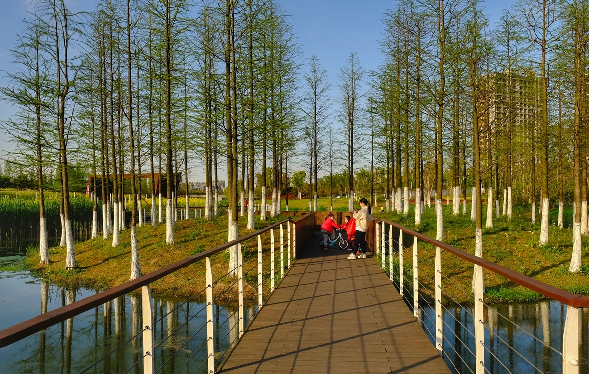 生态长廊好风光复制