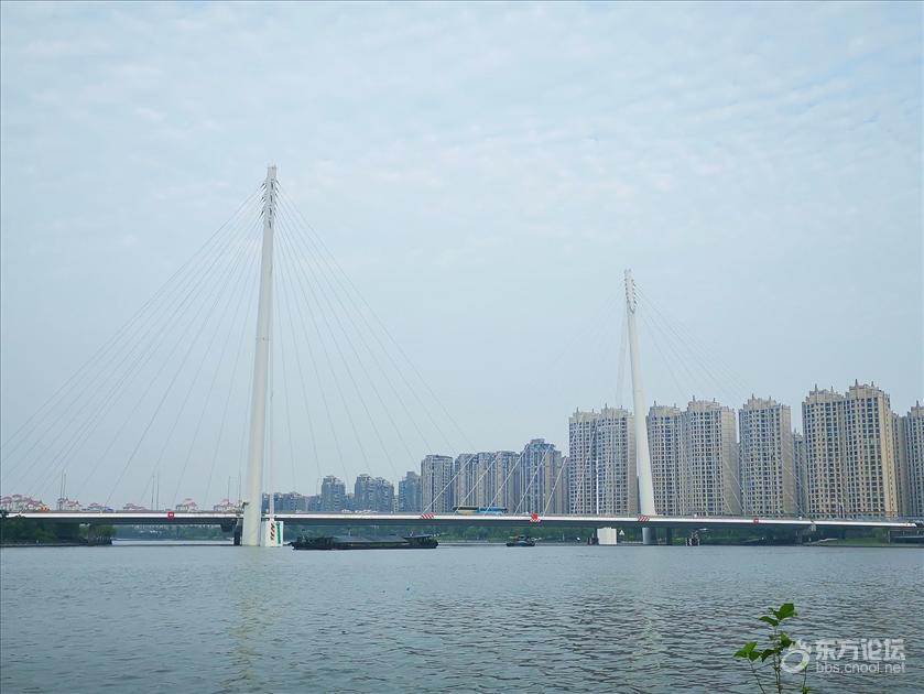 儿子小升初压力挺大,遛娃放风游走姚江让他缓缓