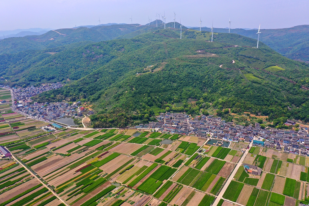 位于北仑的这个地方也有条漂亮的风车公路,一路鲜花