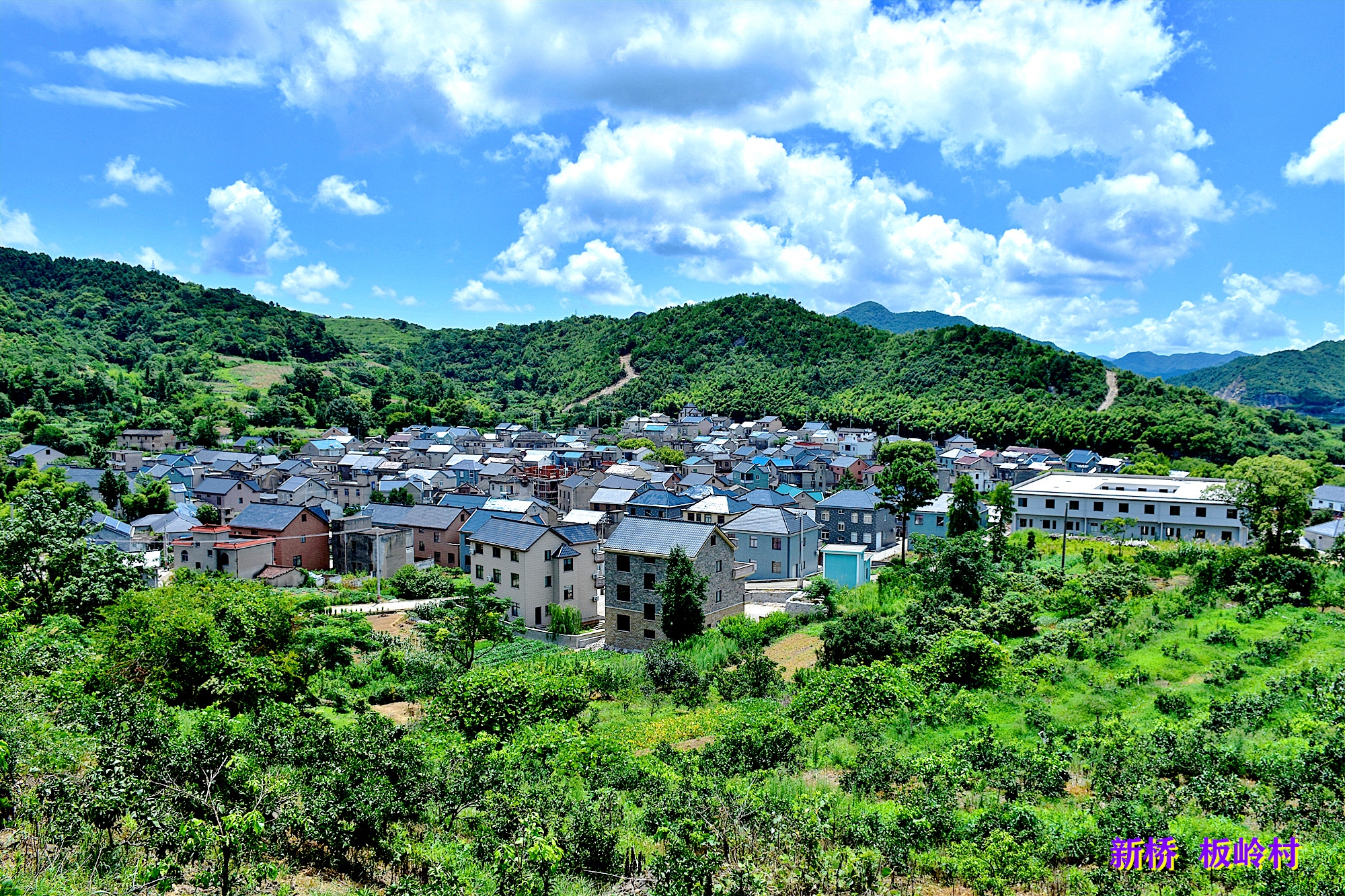 象山农村新貌二复制