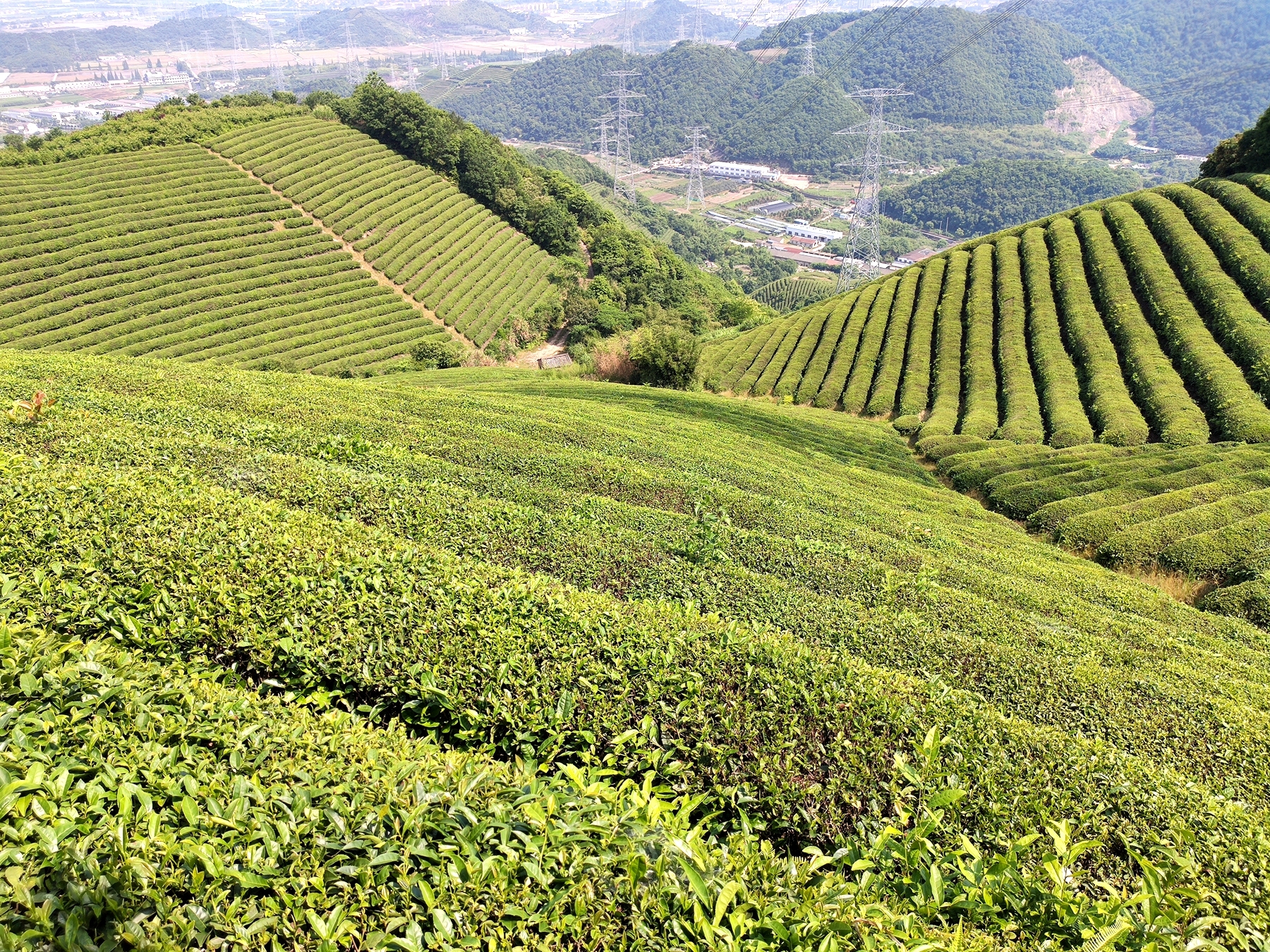 骑小踏板车穿超城西锡山,风光好,时时注意路边石头