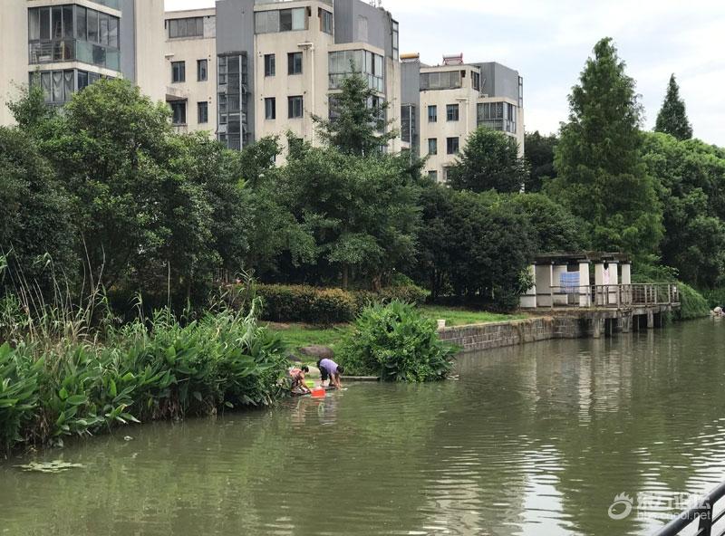 溪口不能洗衣?可东部新城的河边就可以洗啊,人性化
