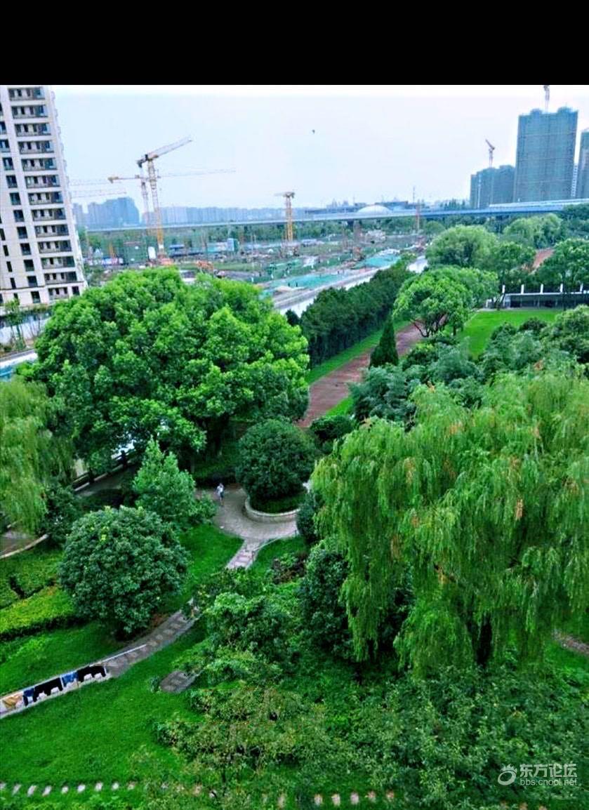 南塘花园的(毁民)工程- 东论 东方热线·东方论坛-宁波论坛——家长里