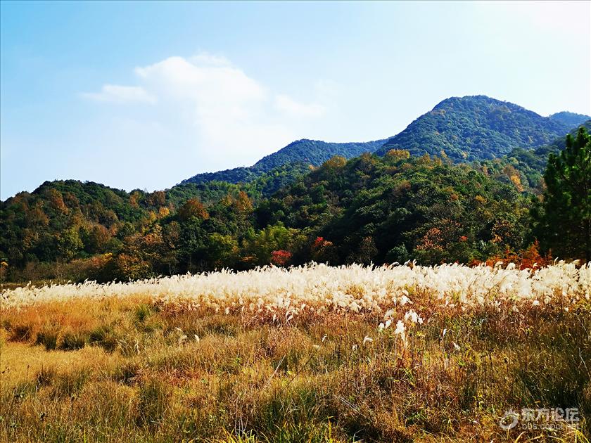 水落桥出!探访时发现一路美景,韵味十足~