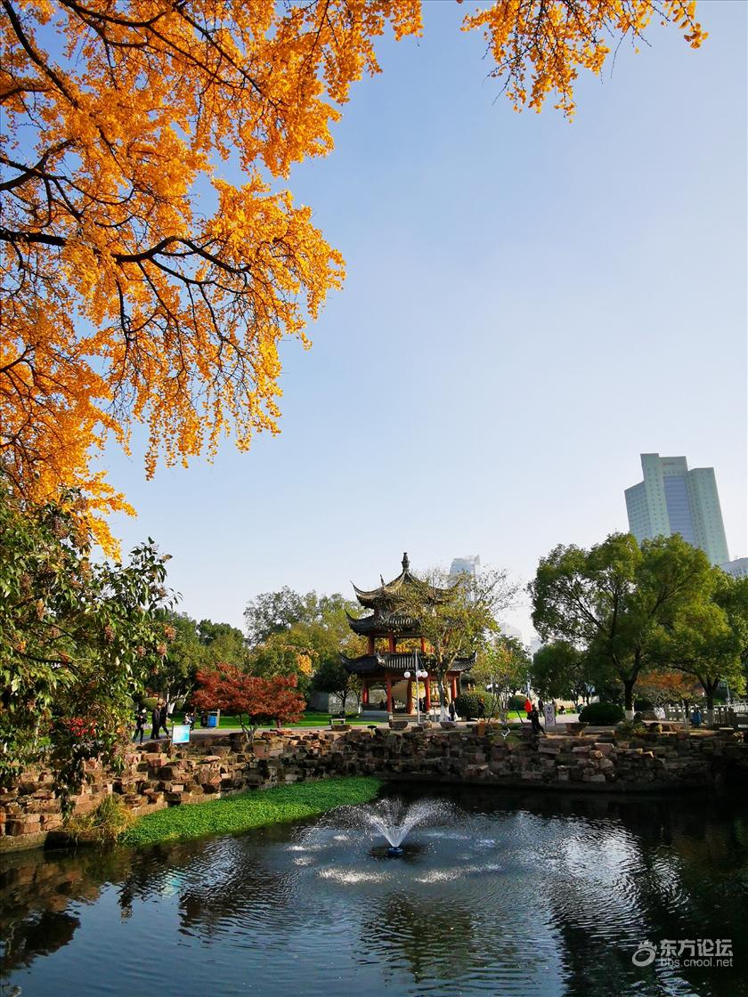 色影无忌中山公园之银杏
