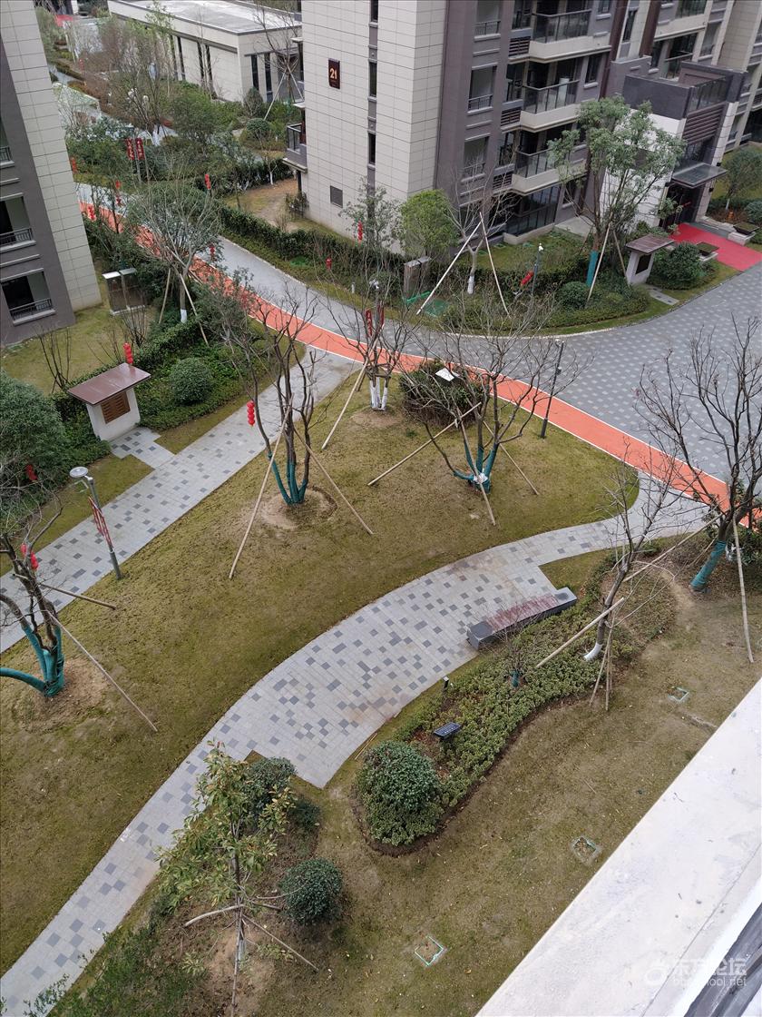 中旅城2期的菜鸟也进场了- 东论 东方热线·东方论坛-宁波论坛