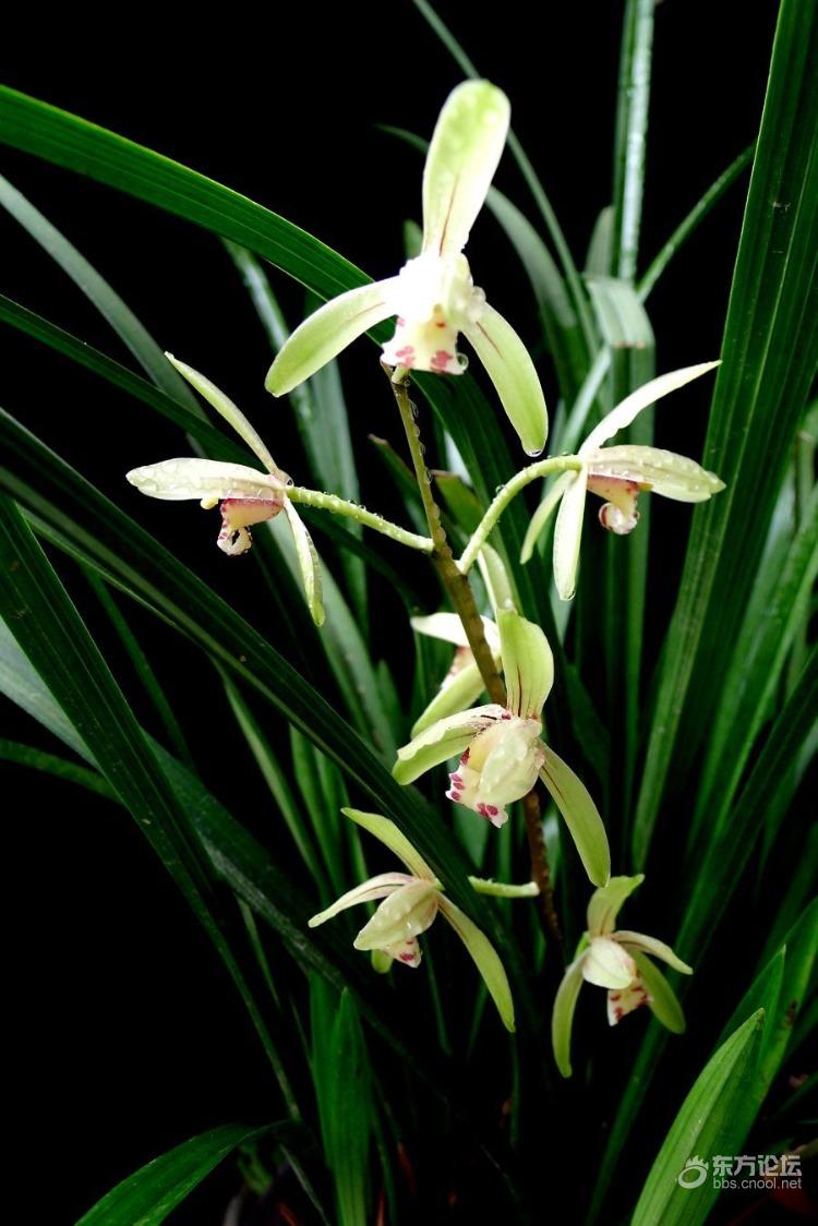 (该主帖已被楼主删除) [复制]