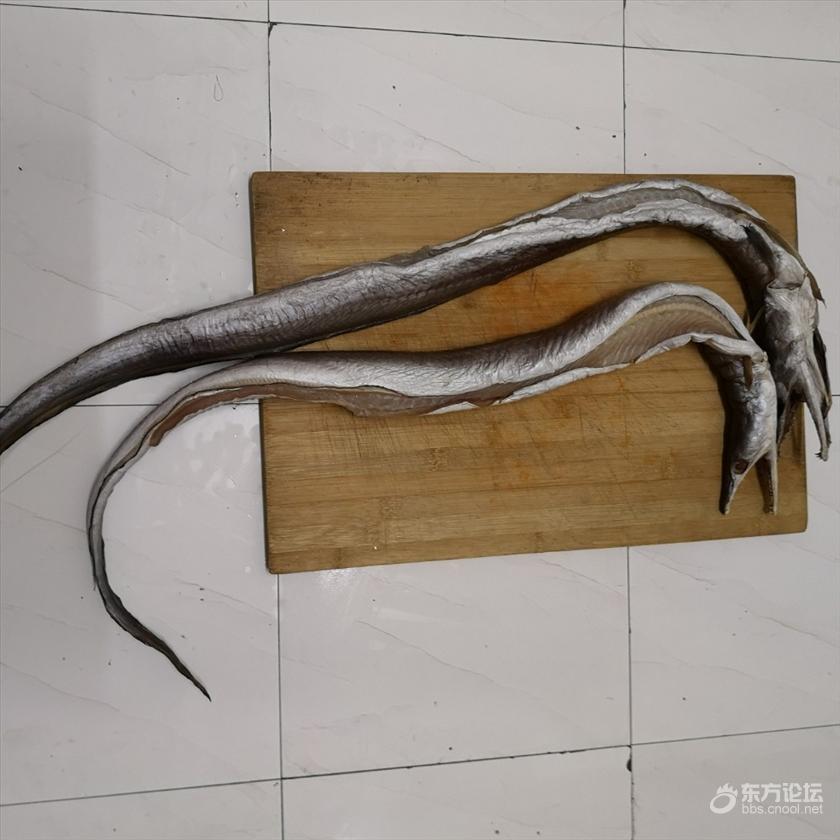 为什么新鲜鳗鱼和鳗筒价格相差这么多 东论东方热线 东方论坛 宁波论坛 家长里短写你我身边事
