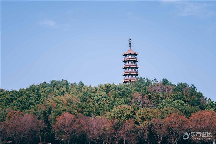 天下玉苑重新开放了- 东论 东方热线·东方论坛-宁波论坛——家长里短