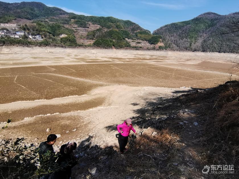 东论 东方热线·东方论坛-宁波论坛——家长里短写你我身边事!